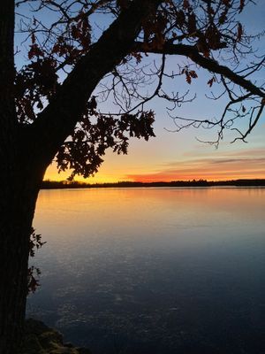 Röd liten stuga vid sjön - Bild 27