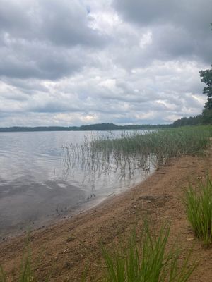 Röd liten stuga vid sjön - Bild 30