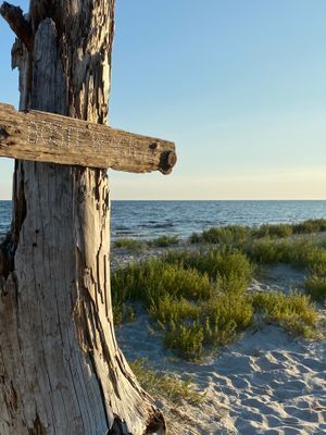 Sommarboende vid havet