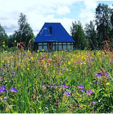 Booking in Borgafjäll - Stugor uthyres vid backen - Bild 47