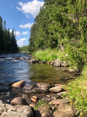 Välkommen till en omtyckt och mysig fjällstuga - Bild 8