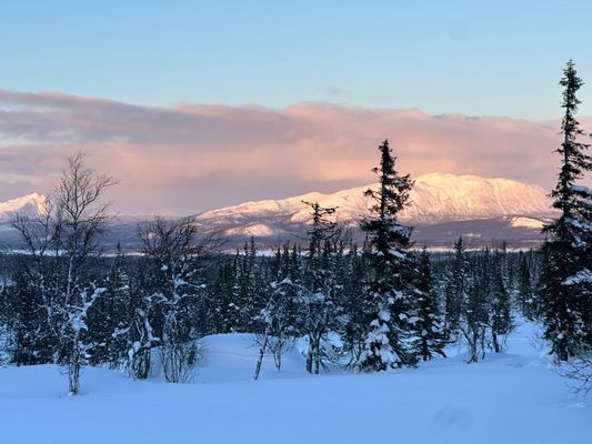 Timmerstuga i Borgafjäll med vedbastu & kamin. - Bild 34