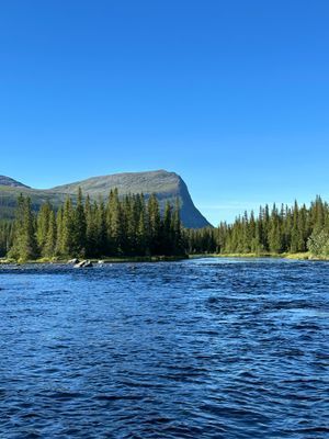 Timmerstuga i Borgafjäll med vedbastu & kamin. - Bild 36