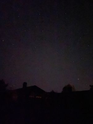 Mysig stuga med 2 kajaker - Bild 5