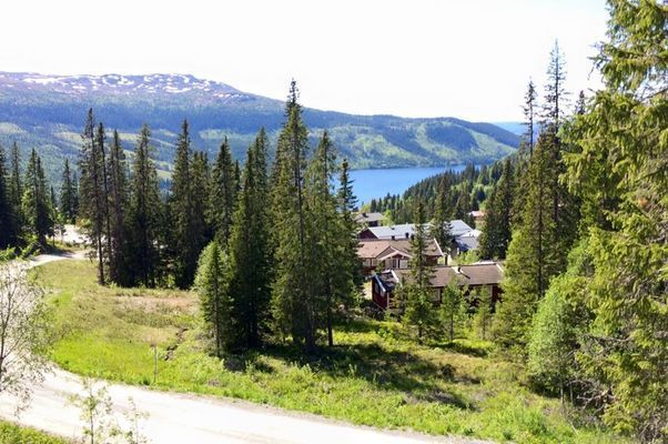 Personlig fjällägenhet med vidunderlig utsikt