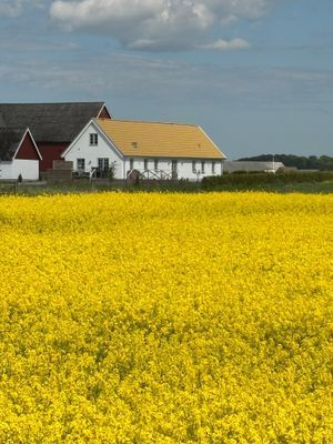 Nyrenoverat hus på den skånska landsbygden.