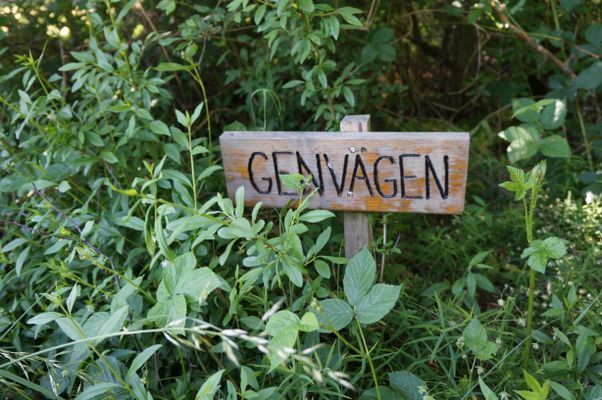 Karlskrona skärgård, bad, fiske, natur och golf - Bild 21