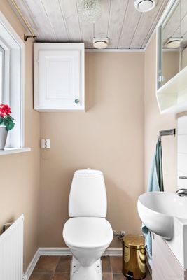 Vandra, cykla, bada och njut av vackra Österlen - Bild 11