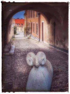 Hus Visby innerstad sommaren 2026