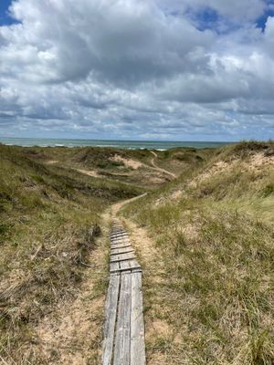 Fantastiskt läge vid havet i Frösakull - Bild 28