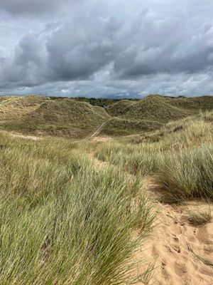 Fantastiskt läge vid havet i Frösakull - Bild 36