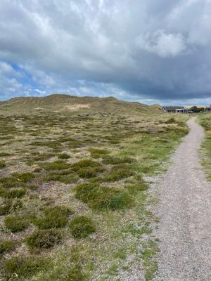 Fantastiskt läge vid havet i Frösakull - Bild 39
