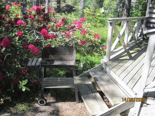 Grill finnes för härlig matlagning