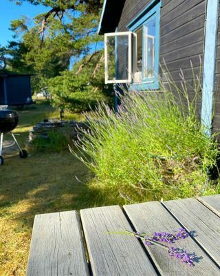 Superläge på fina Holmhällar - Bild 2