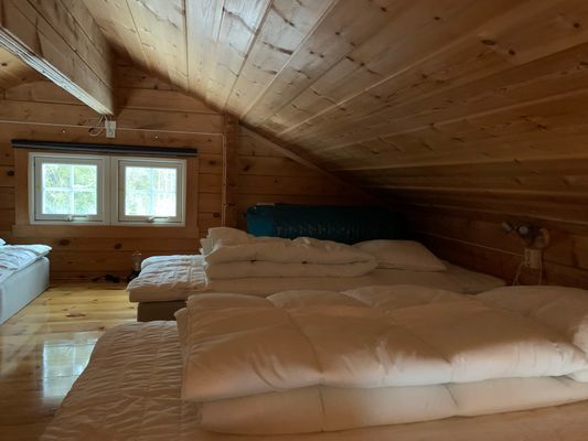 Timmerstuga i Borgafjäll med vedbastu & kamin. - Bild 17