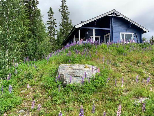 Timmerstuga i Borgafjäll med vedbastu & kamin. - Bild 39