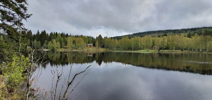 Bästa sjöläge! vedeldad bastu, kanot och fiskebåt - Bild 61