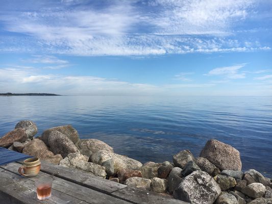 Havsnära & strandängar i vackra Blekinge - Bild 14