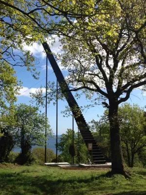 Mysigt gästhus på gård i rogivande natur - Bild 41