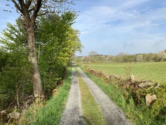 Infartsvägen till Björkhaga från Tåghusavägen (infartsvägen är ca 500 meter och ändstationen är Björkhaga gård).