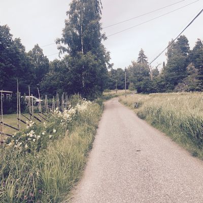 Idyllsikt sommarhus i Stockholms norra skärgård - Bild 25