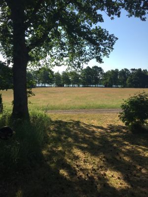 Vackra Odensjö vid sjön Bolmen. - Bild 7