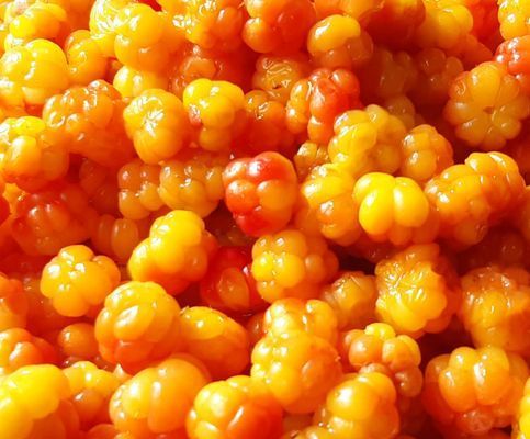 Booking in Borgafjäll - Stugor uthyres vid backen - Bild 40