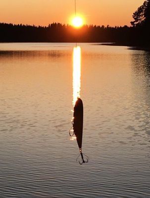 Bästa sjöläge! vedeldad bastu, kanot och fiskebåt - Bild 51