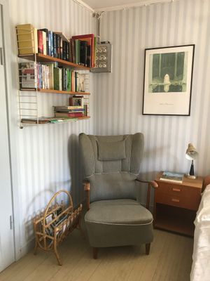 Bästa sjöläge! vedeldad bastu, kanot och fiskebåt - Bild 27