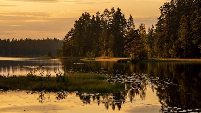 Bästa sjöläge! vedeldad bastu, kanot och fiskebåt - Bild 54