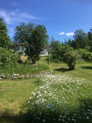Sjönära stuga med veranda i kvällssol - Bild 17