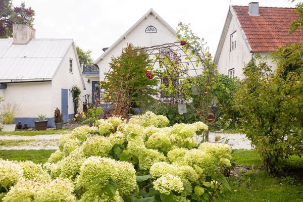 Mysig Häxbo i Kräklingbo på Channel 1 gård