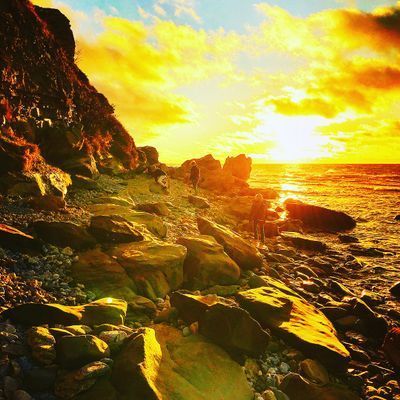 Kalkstenshus - nära havet och bistro - Bild 77