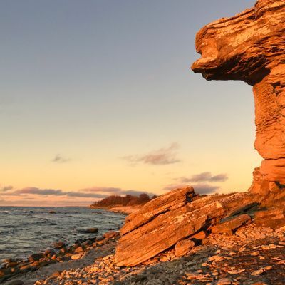 Kalkstenshus - nära havet och bistro - Bild 78