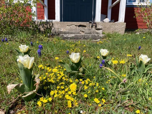 Enkelt fint hus - Bild 10