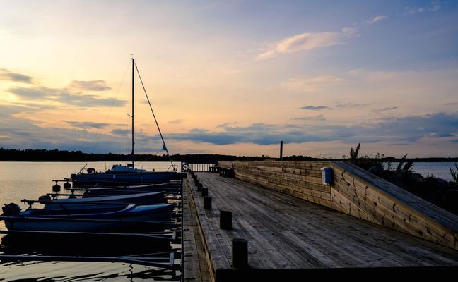 Havsnära & strandängar i vackra Blekinge - Bild 13