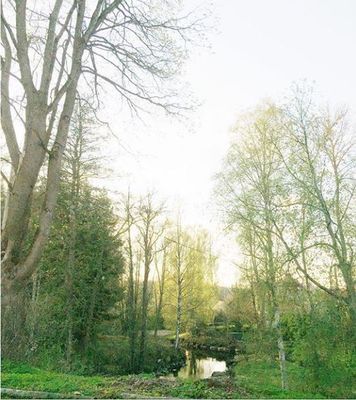 Mysig stuga i byn Löa i Bergslagen - Bild 37