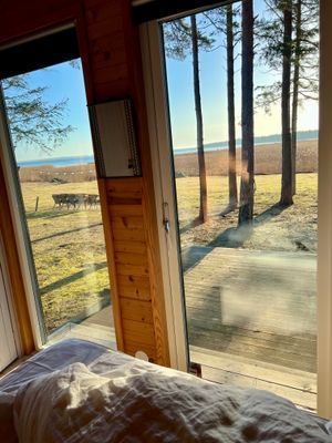 Norra Gotland, Lergrav, Rute, Fårö, Furillen, - Bild 51