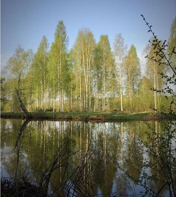 Vacker natur inpå knuten.