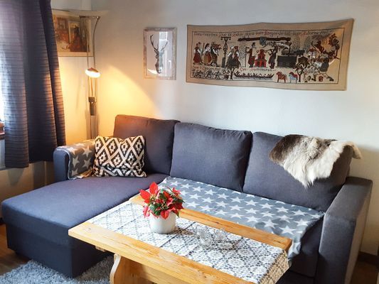 Sälen, Högfjället, ski in-ski out, bastu - Bild 9