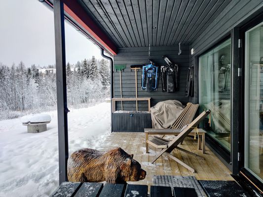 Booking in Borgafjäll - Stugor uthyres vid backen - Bild 12