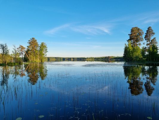 Liten stuga med sjöutsikt - Bild 21