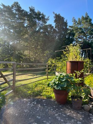 Mysig stuga med 2 kajaker - Bild 11