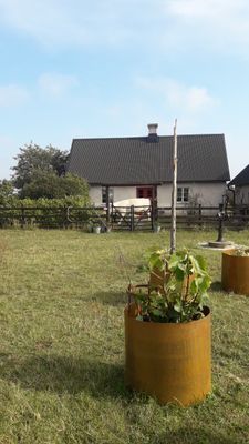 Exklusivt boende på tryffelgård i Rute - Bild 6