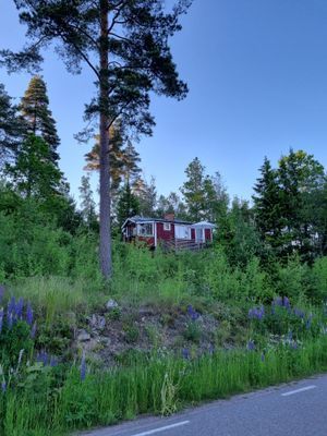 Liten stuga med sjöutsikt - Bild 5