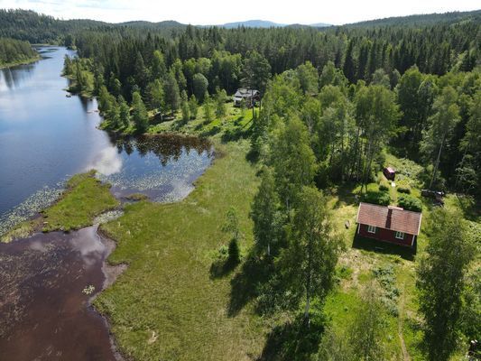 Bästa sjöläge! vedeldad bastu, kanot och fiskebåt - Bild 59