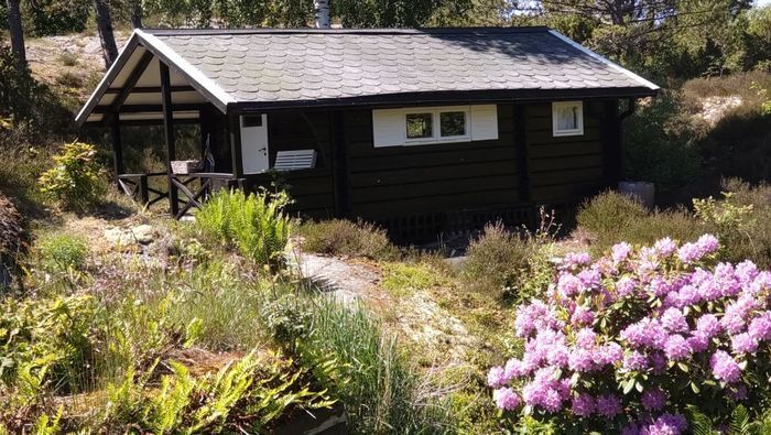 Flatön liten timmerstuga - Bild 3