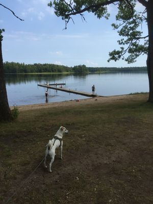 Vackra Odensjö vid sjön Bolmen. - Bild 8