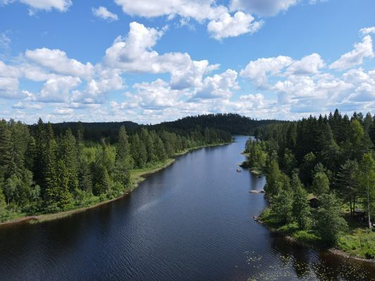Bästa sjöläge! vedeldad bastu, kanot och fiskebåt - Bild 19
