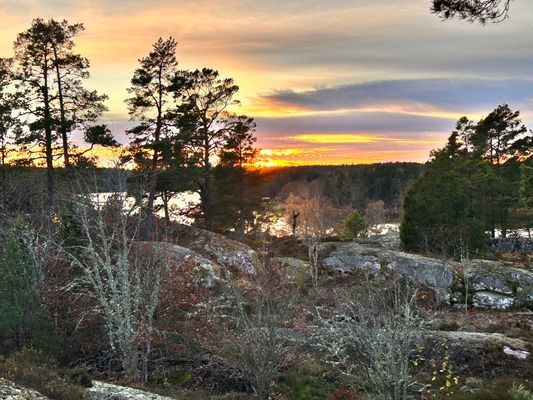 Strandnära stuga i naturskön miljö - Bild 43
